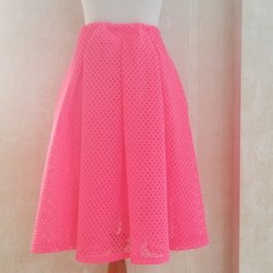 Vibrant Mesh Skirt